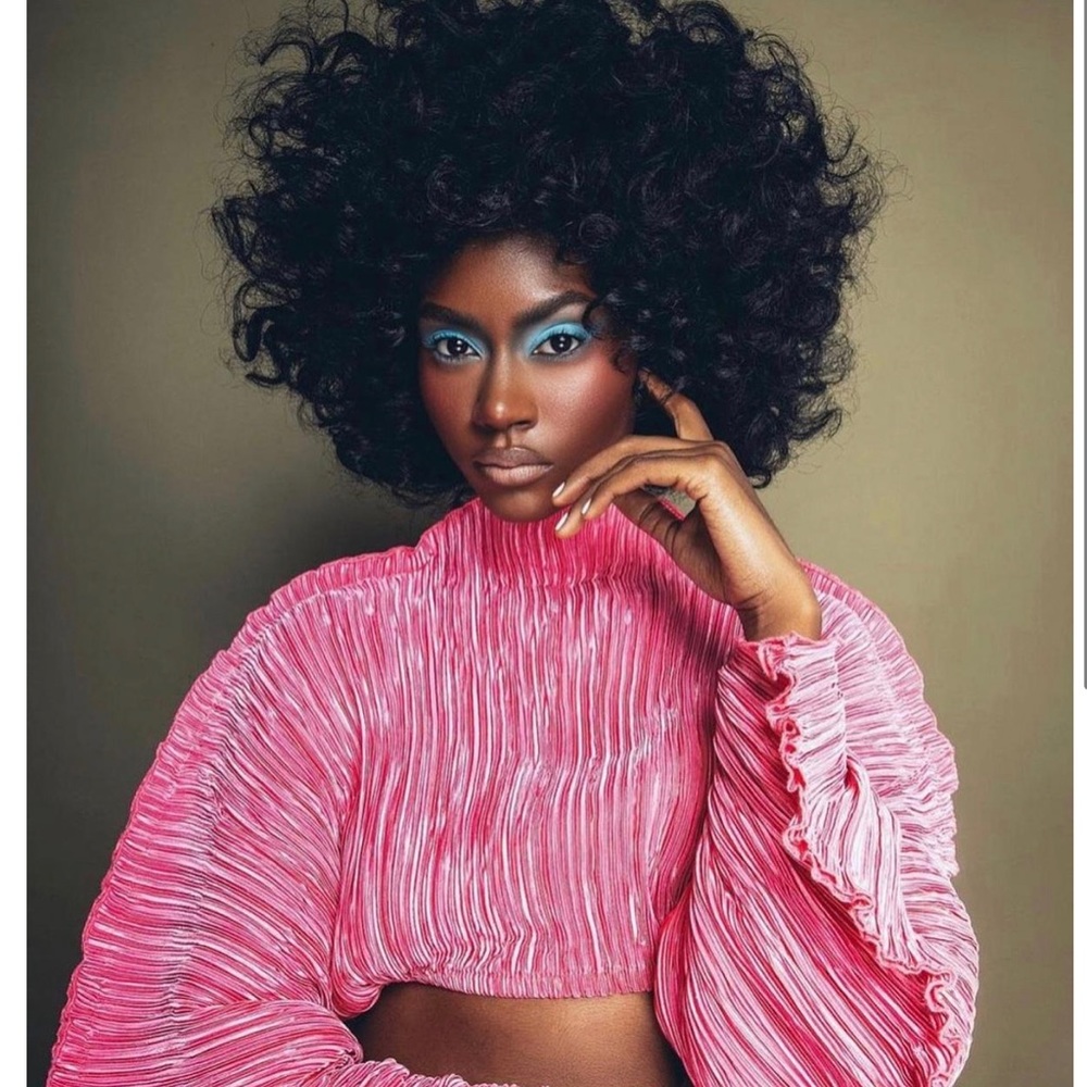 Cult Gaia Flamingo Top